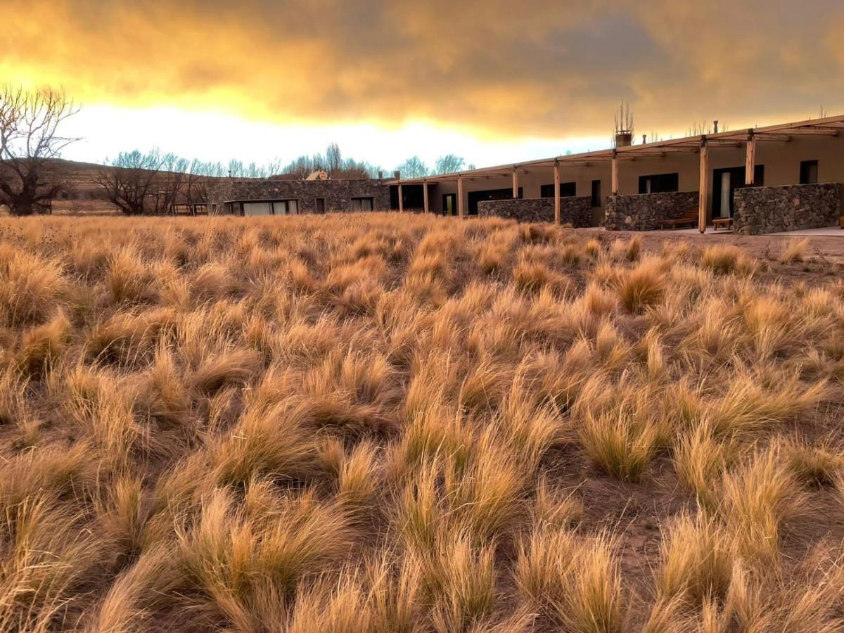Rancho Adobe Eco Hotel Tupungato Buitenkant foto