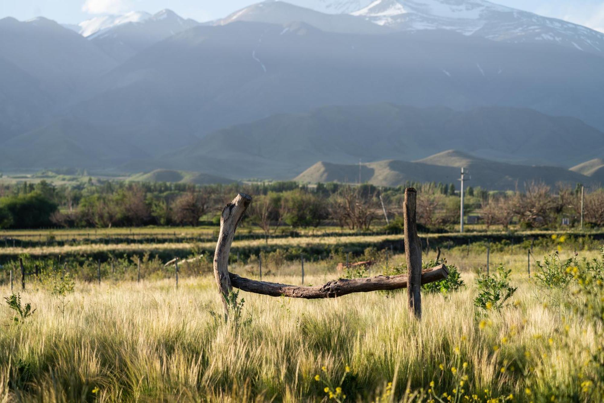 Rancho Adobe Eco Hotel Tupungato Buitenkant foto